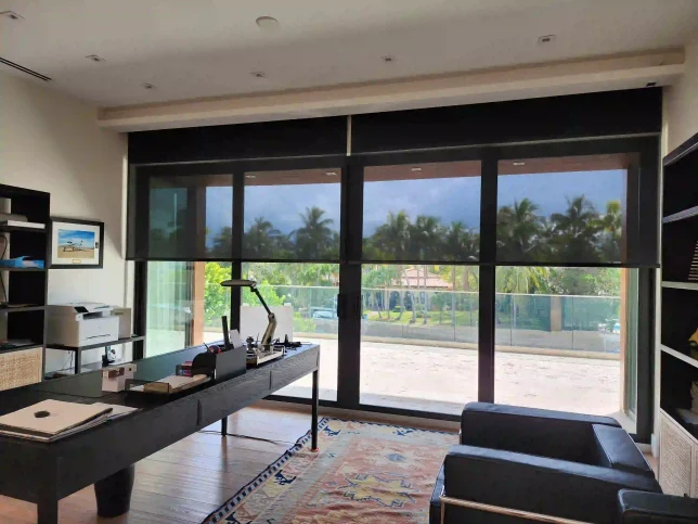 Designer Roller Shades - Image 7