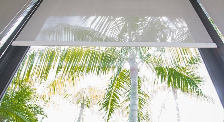 XPO Blinds Window Shades and Decor Treatments