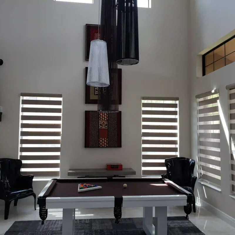 Achieve the perfect balance of natural light and privacy with custom Neolux zebra window shades.