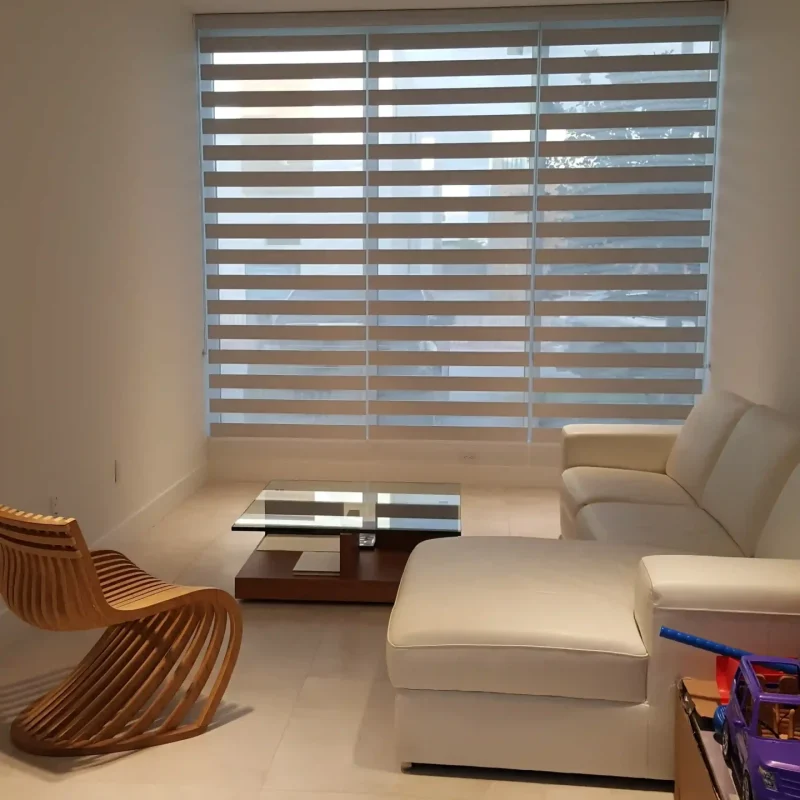 Control light and maintain privacy with the innovative design of Neolux zebra window shades.