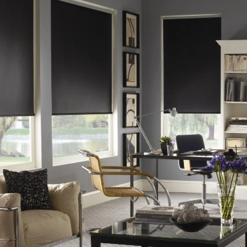 Blackout window shades are perfect for maintaining total darkness and privacy in your living spaces.